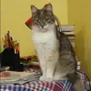 Отзыв от Любовь Казанцева